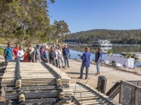 Farm Tour at Broadwater Oysters