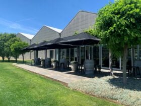 Cellar Door