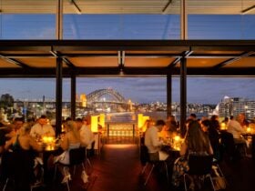 Cafe Sydney dinner
