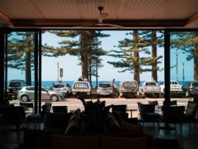 Cibaria Manly beach view