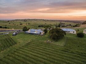 Aerial view of Crooked River Wines, Gerringong
