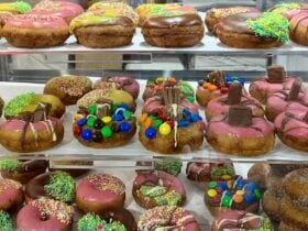 Assorted Donuts HoleFillers Iced Sprinkles