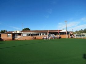 Dungog Bowling Club