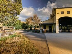 Winery Building