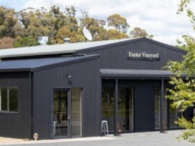 Exeter Vineyard 1