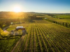 First Ridge Wines Vineyard and Cellar Door from Drone, Mudgee NSW