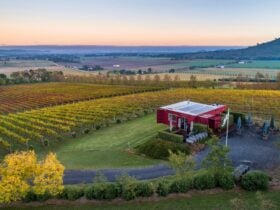 a typical stunning sunset viewed from our cellar door