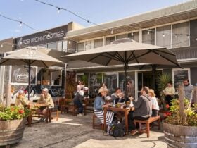 Outdoor seating at Five Barrels with umbrellas, garden, food truck, dog friendly
