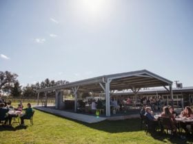 Four Winds Vineyard Cellar Door