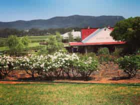 The vista at Hanging Tree