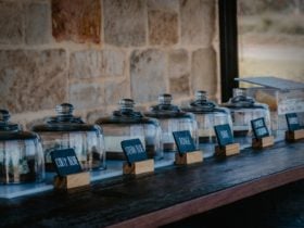 Mudgee Cheese tasting