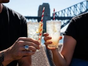 Cocktail cheers