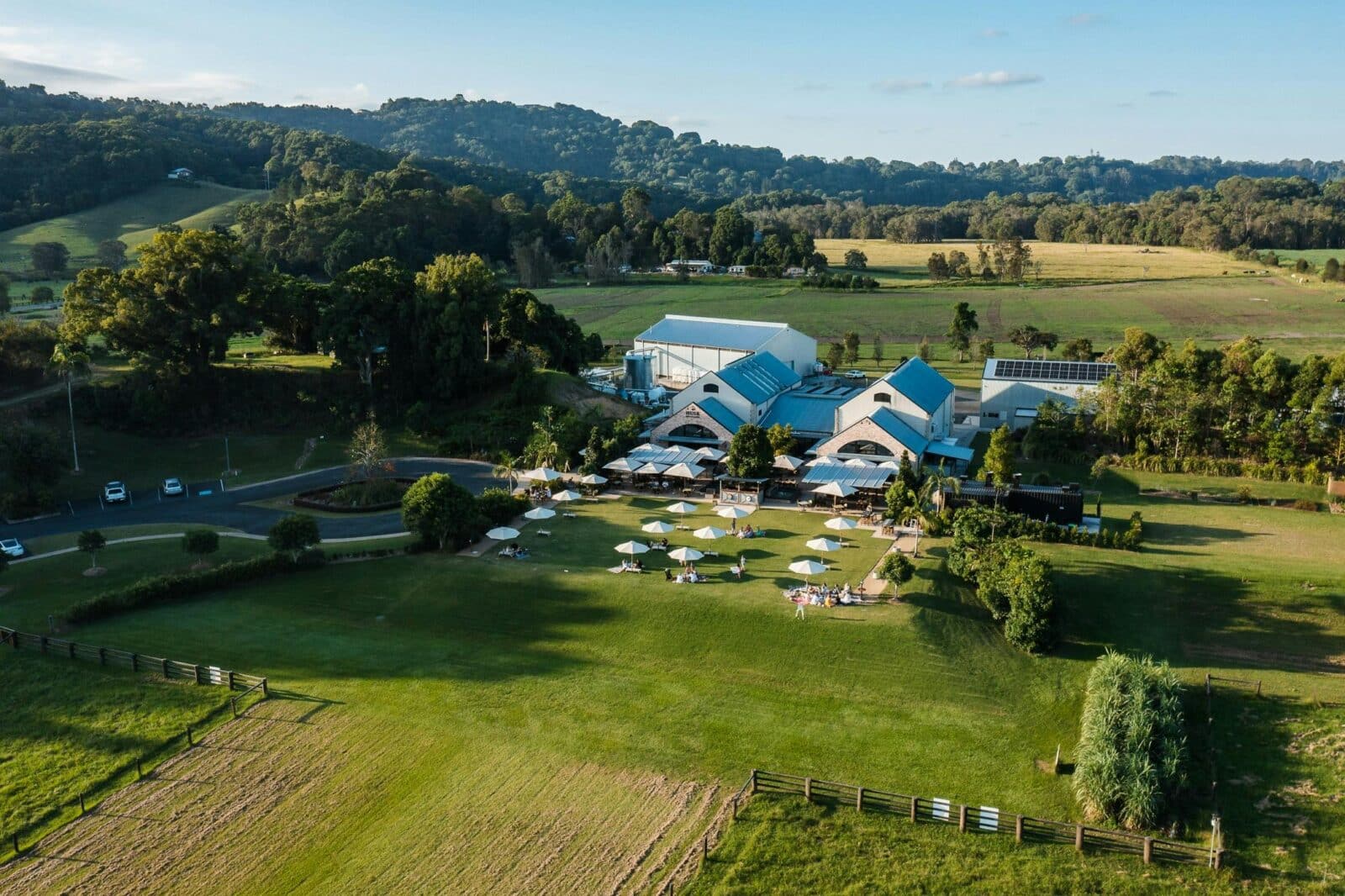 Husk Farm Distillery is set on 150 beautiful acres of cattle, cane and rainforest..
