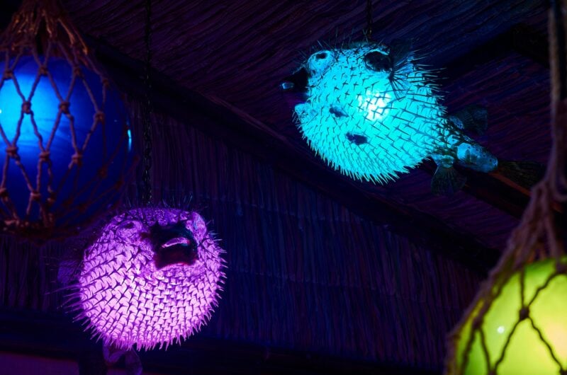 Jacobyâs Tiki Bar