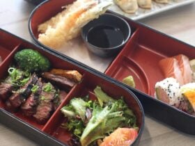 Lunch Bento Box