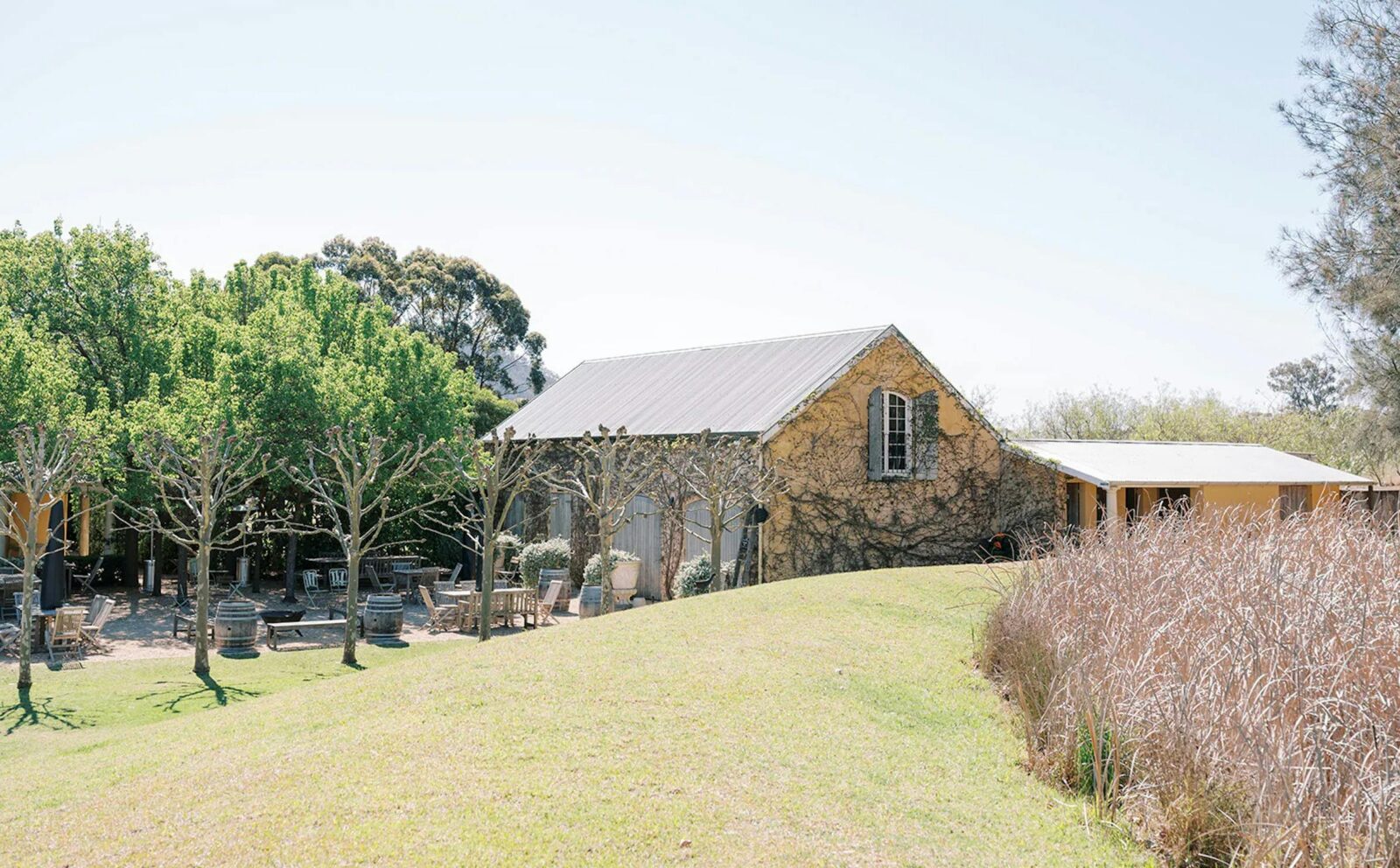 Front of cellar door in garden