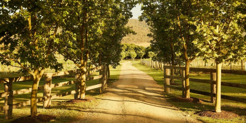 Krinklewood Biodynamic Vineyard