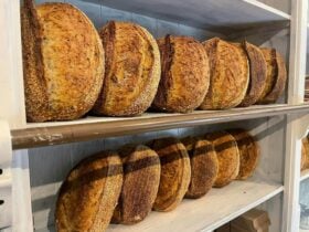 Bread