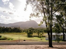 Leogate Estate Winery, Pokolbin