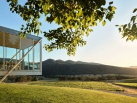 Logan Wines Mudgee