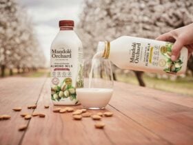 Almond Milk_Orchard