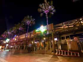 Margaritaville