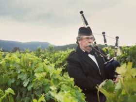 Owner / Vigneron Robert McLeish