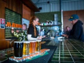 Pouring a beer