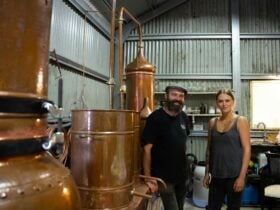A man and woman looking to camera and standing next to copper stills in a small distillery