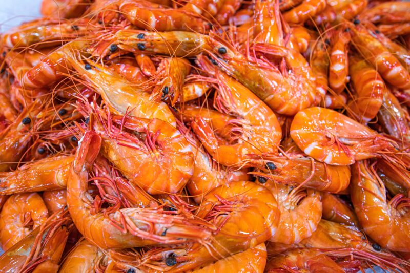 Cooked Tiger Prawns