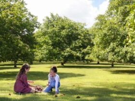 Children enjoying a day of chestnut picking at Nutwood Farm, Mount Irvine