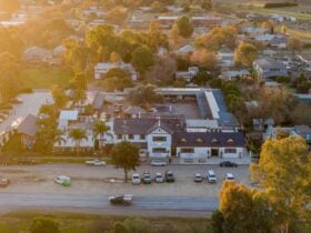 birdseye view of the palm and pawn