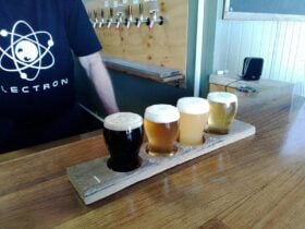 Beer tasting paddle board