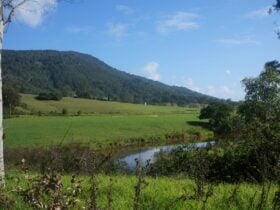 Paterson River