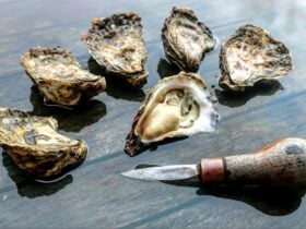 shucked and unshucked