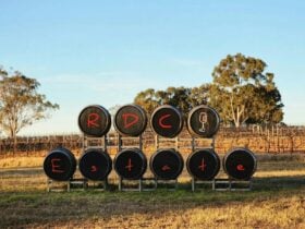 Red Door Collective