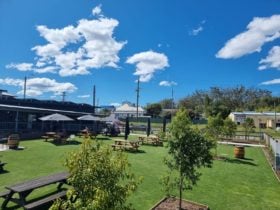 Outdoor Beer Garden