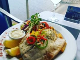 Fresh meals