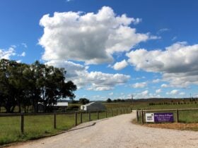 Entrance to SHORT SHEEP