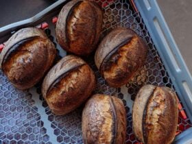 Sour Dough Loafs