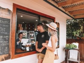 Steam and Cedar Coffee