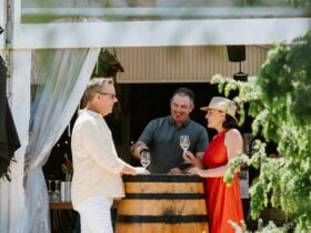 Stein Winery wine tasting in the cellar door in mudgee nsw