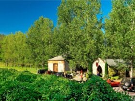 Stonehurst Cedar Creek cellar door