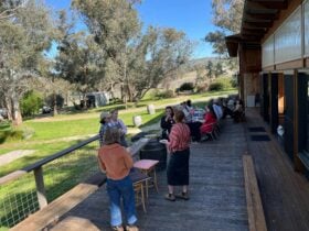 Great view from deck to vineyard