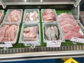 Fresh seafood