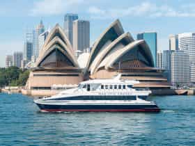 Sydney Harbour Lunch Cruise
