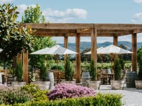 Outdoor seating area with timber tables and chairs and umbrellas