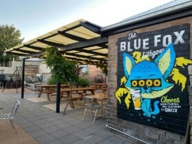This photo shows our courtyard with a mural of the blue fox on the wall