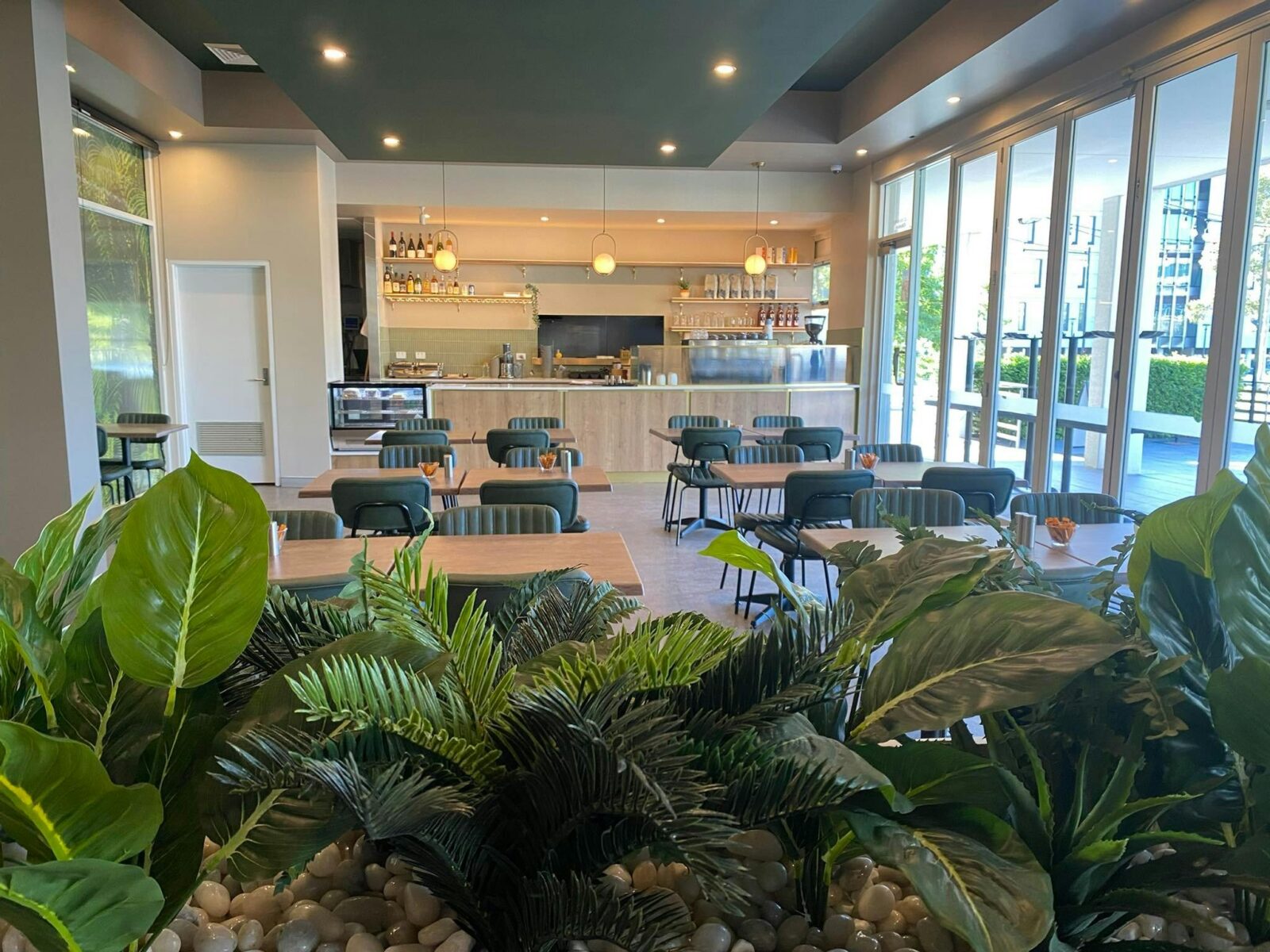 Cafe seating and counter with plants in fore ground