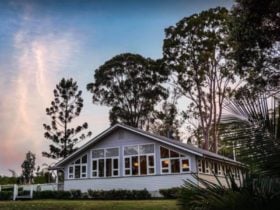PIcture from the outside of building set against tall eucalyptus trees in the evening
